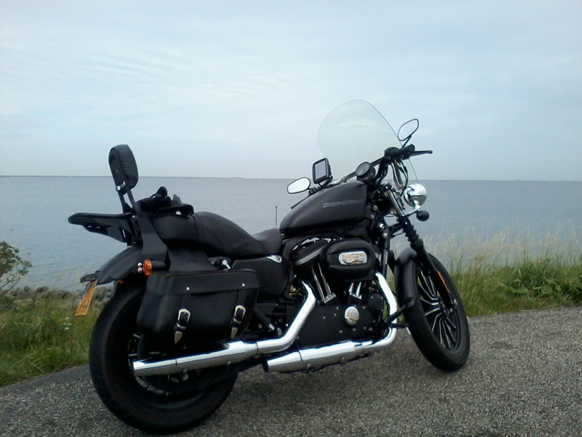 Harley Davidson XL883N-iron