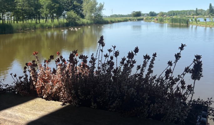 Rondje Twente-Markermeer