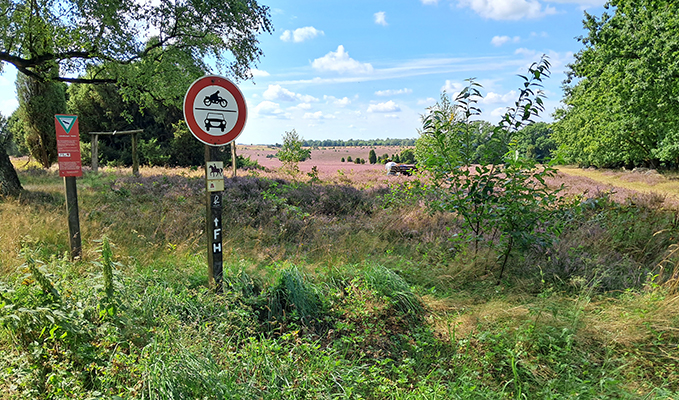 Rondrit Luneburger Heide