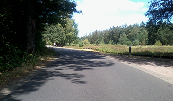 Zwarte Dennen Route