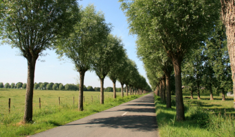 Route richting Zaltbommel